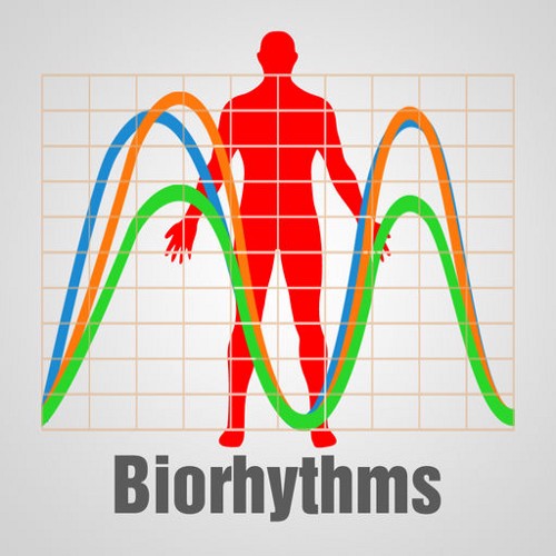 Biorhythms 